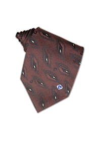TI065 custom order campaign ties personalized logo neckties tailor made personal design ties supplier company hk 